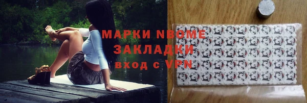 индика Зеленодольск