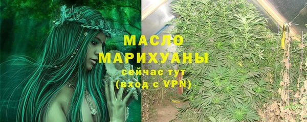 индика Зеленодольск