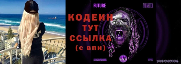 дурь Чердынь