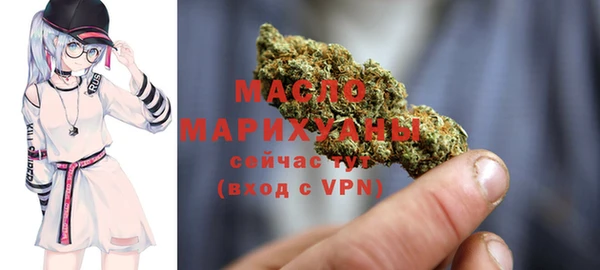 индика Зеленодольск