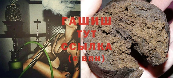 индика Зеленодольск