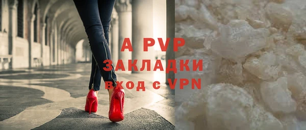 индика Зеленодольск