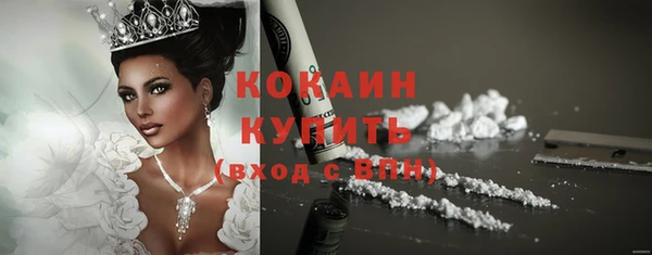 индика Зеленодольск