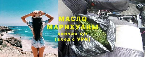 индика Зеленодольск