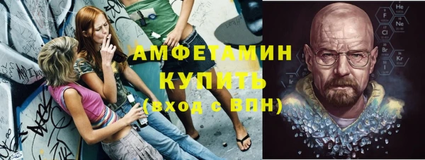 индика Зеленодольск