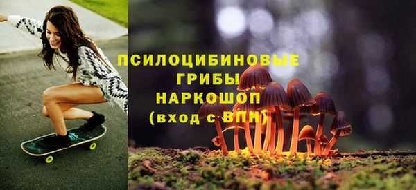 индика Зеленодольск