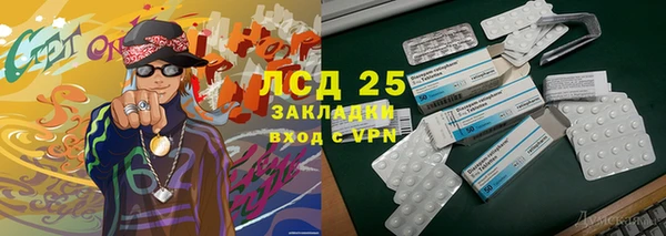 индика Зеленодольск