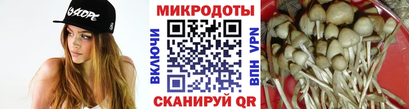Купить закладки Полысаево Псилоцибиновые грибы Psilocybe